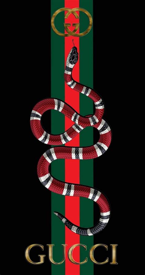 gucci with snake|Gucci snake drawing.